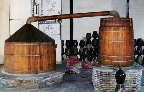 固態釀酒蒸糧時用蒸汽釀酒設備好,還是木甑好 真全糧胡星杰